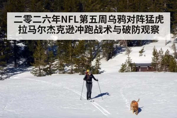 二零二六年NFL第五周乌鸦对阵猛虎 拉马尔杰克逊冲跑战术与破防观察